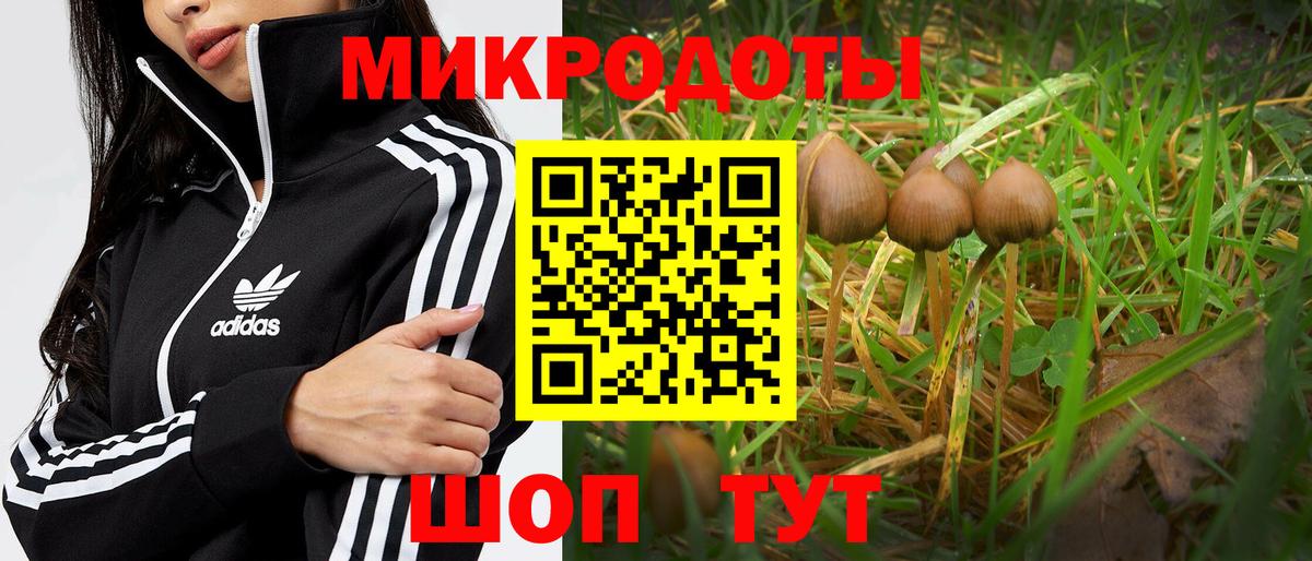 Горячий Ключ  Галлюциногенные грибы Psilocybine cubensis  Вход с VPN 