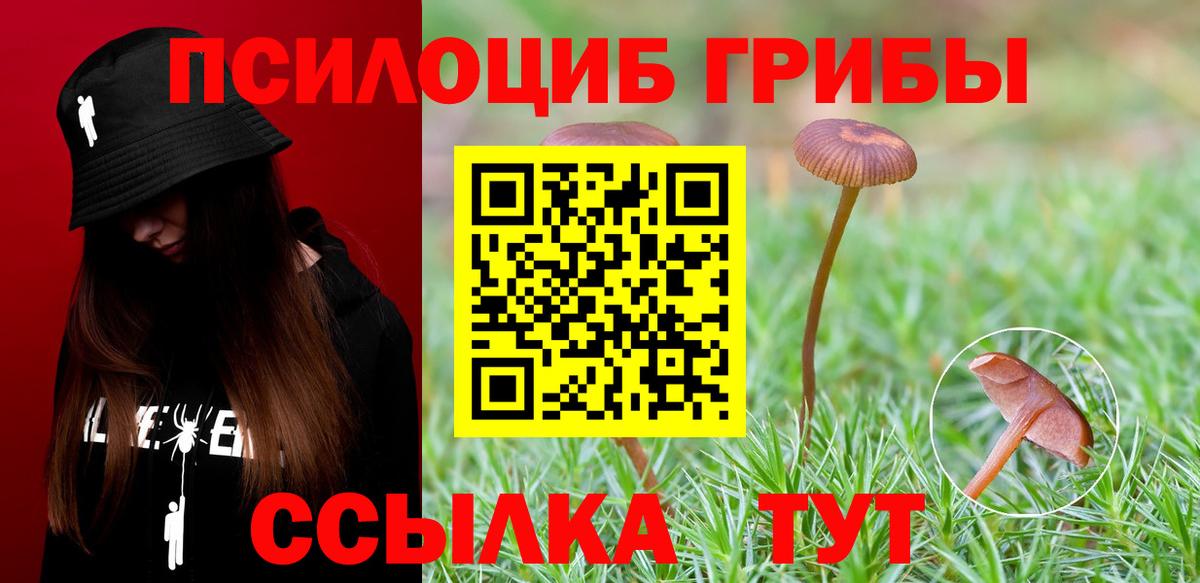 Псилоцибиновые грибы GOLDEN TEACHER Горячий Ключ